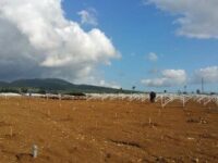 40MW Project in Philippines