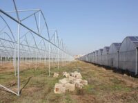 10MW Project in Lianyungang