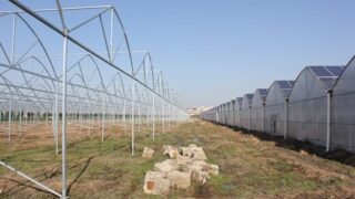 10MW Project in Lianyungang